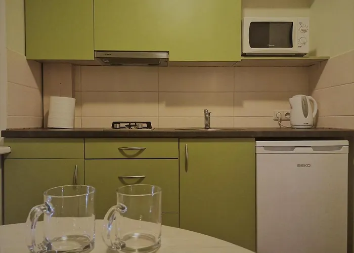 Kalnieciai Park Apartamento Kaunas